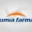 pt kimia farma tbk
