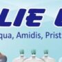 Toko Lie Lie Logo